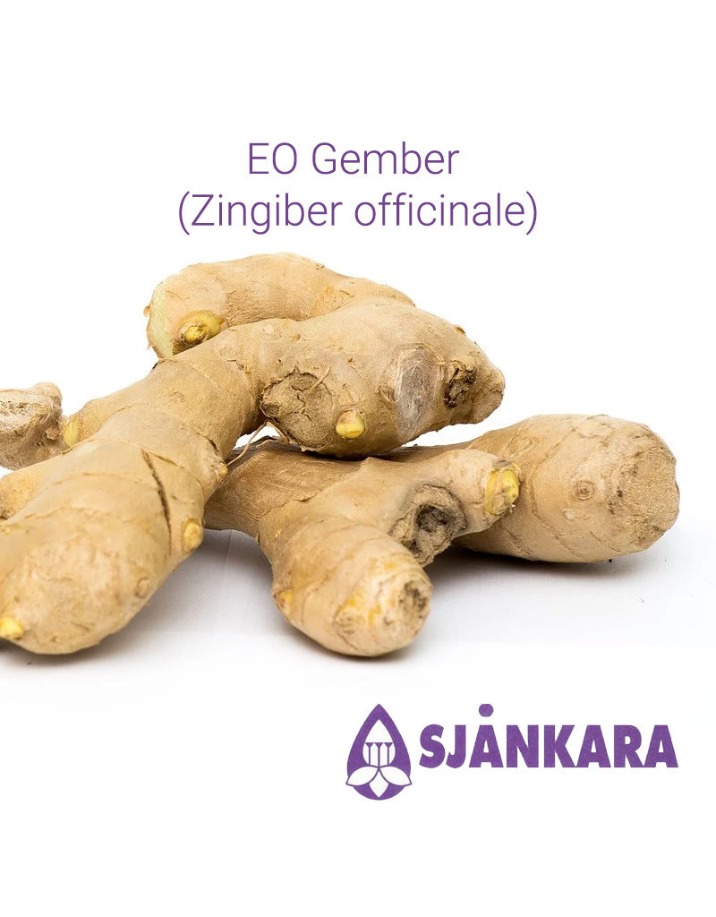 Sjankara Sjankara - etherische olie gember (Zingiber officinale)