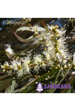 Sjankara Sjankara - etherische olie cajeput (Melaleuca leucadendron)