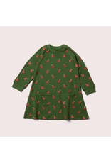 Little Green Radicals Little Green Radicals - Red apples snuggle dress (0-2j)