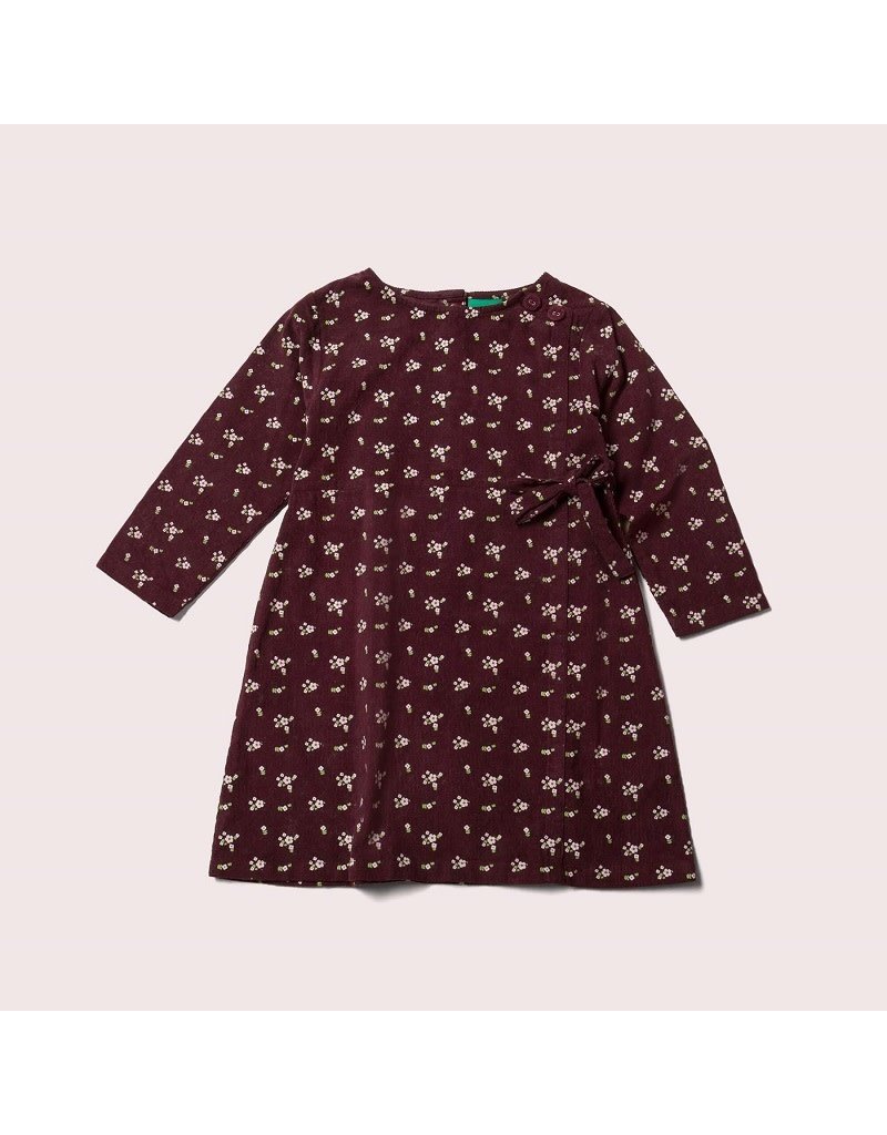 Little Green Radicals Little Green Radicals - Plum flowers wrap up well dress (0-2j)