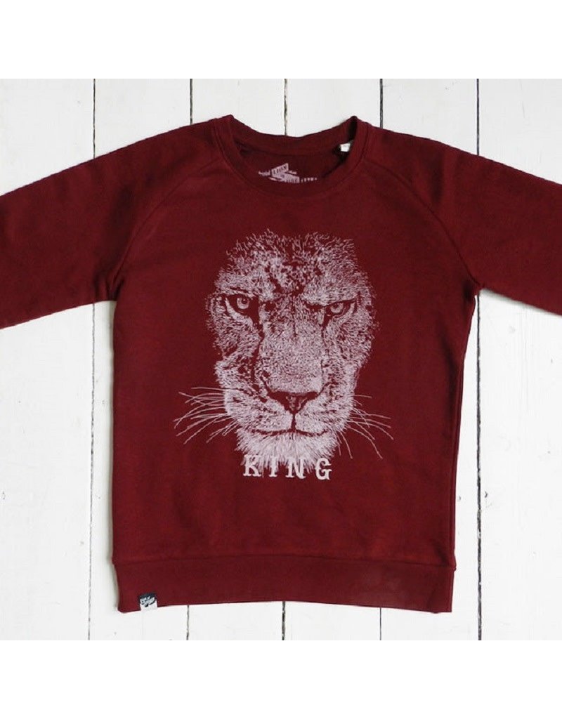 Lion of Leisure Lion of Leisure - sweater, lion king, burgundy (3-16j)