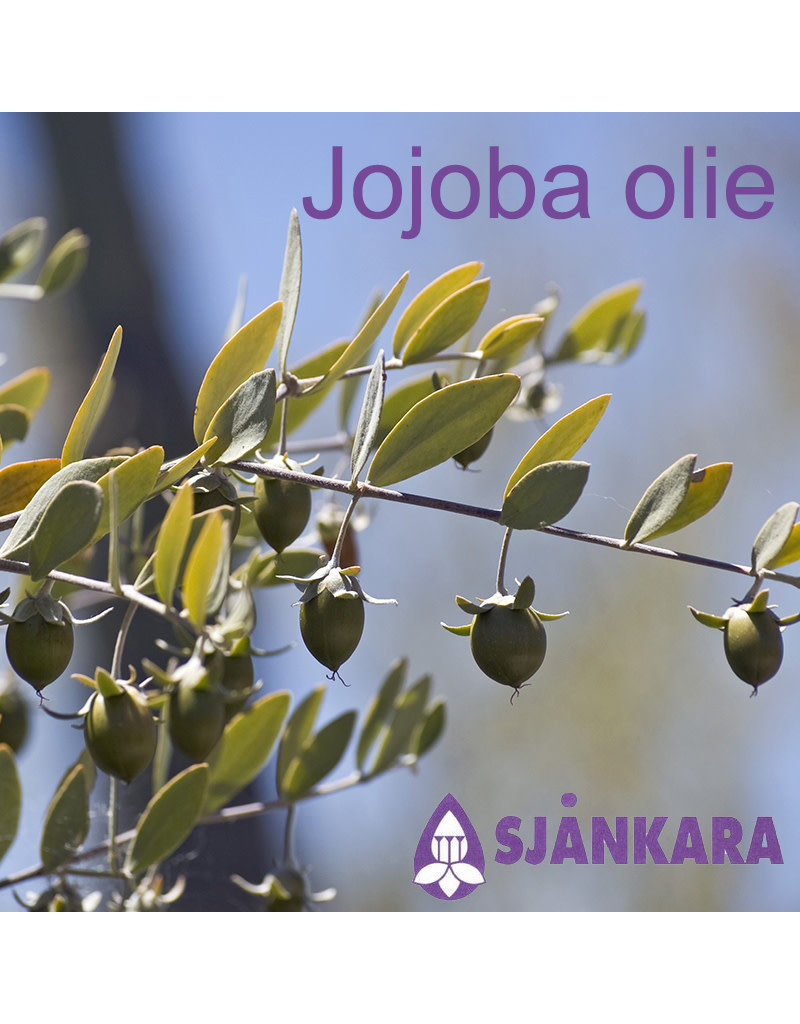 Sjankara Sjankara - Basisolie jojoba "golden grade"