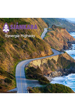 Sjankara Sjankara - synergieën, highway