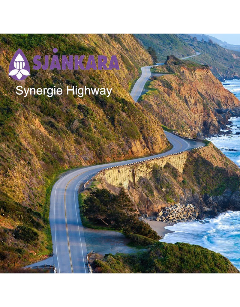 Sjankara Sjankara - synergieën, highway