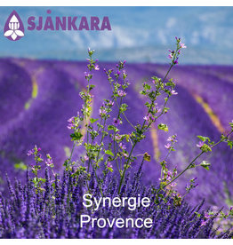 Sjankara Synergie, provence