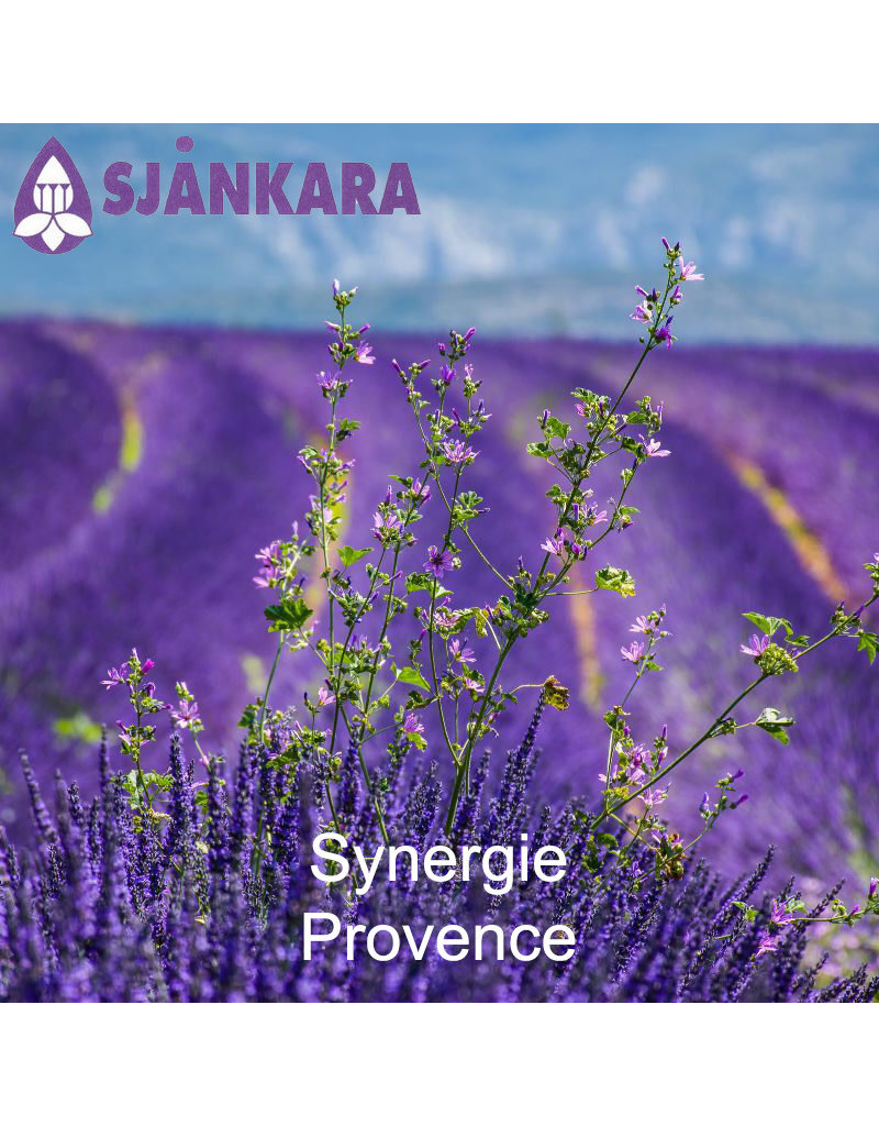 Sjankara Sjankara - Synergie, provence