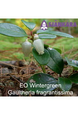 Sjankara Sjankara - Etherische olie Wintergreen (Gaultheria fragrantissima)