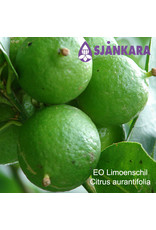 Sjankara Sjankara - Etherische olie limoenschil geperst (Citrus aurantifolia)