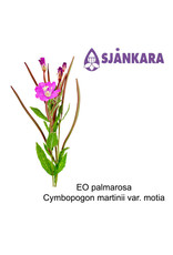 Sjankara Sjankara - Etherische olie Palmarosa (Cymbopogon martinii var. motia)