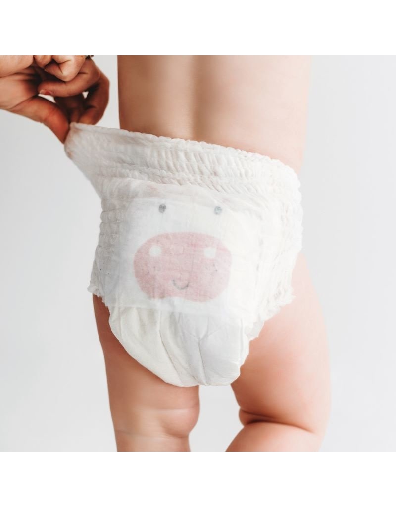 Kit & Kin Kit & Kin - Nappy pants size 4, 9-15kg, 22 stuks