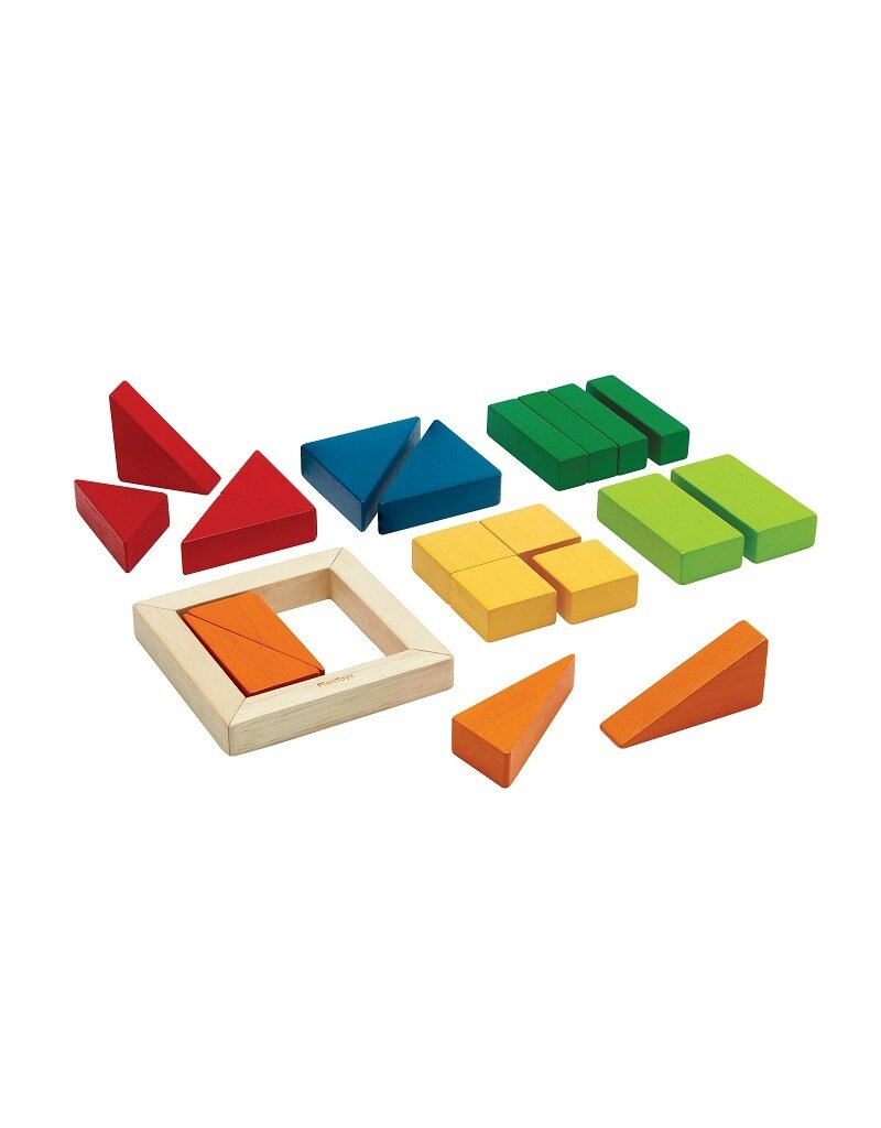 PlanToys Plan Toys - Fraction Blocks