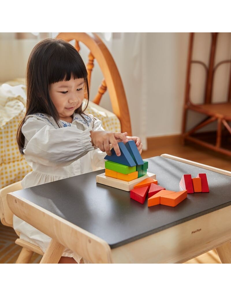 PlanToys Plan Toys - Fraction Blocks