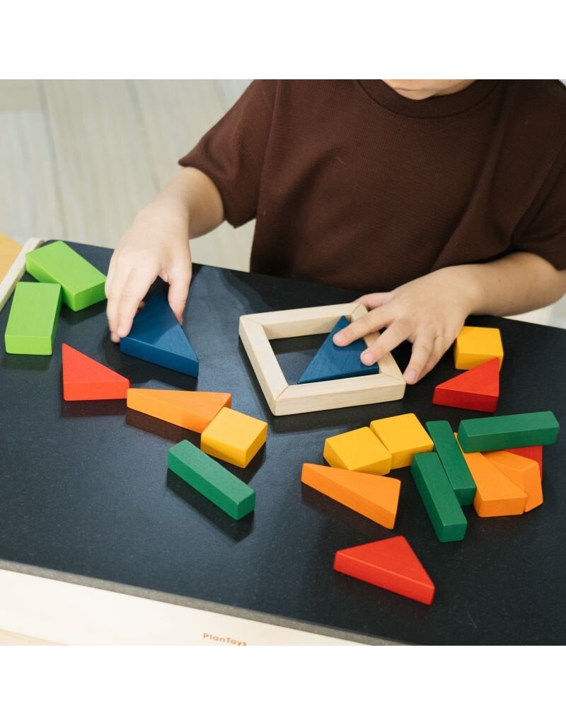 PlanToys Plan Toys - Fraction Blocks