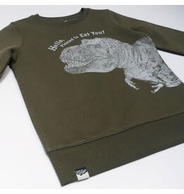 Lion of Leisure Sweater, Dino (3-16j)
