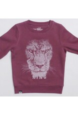 Lion of Leisure Lion of Leisure - Sweater, Lion King, Rose (3-16j)