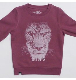 Lion of Leisure Sweater, Lion King (3-16j)