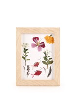 Huckleberry Huckleberry - Pressed flower frame art