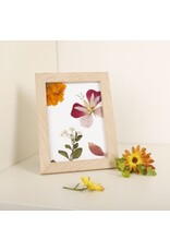 Huckleberry Huckleberry - Pressed flower frame art
