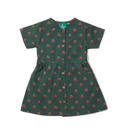 Little Green Radicals Zomerjurk, Olive cherries (3-8j)