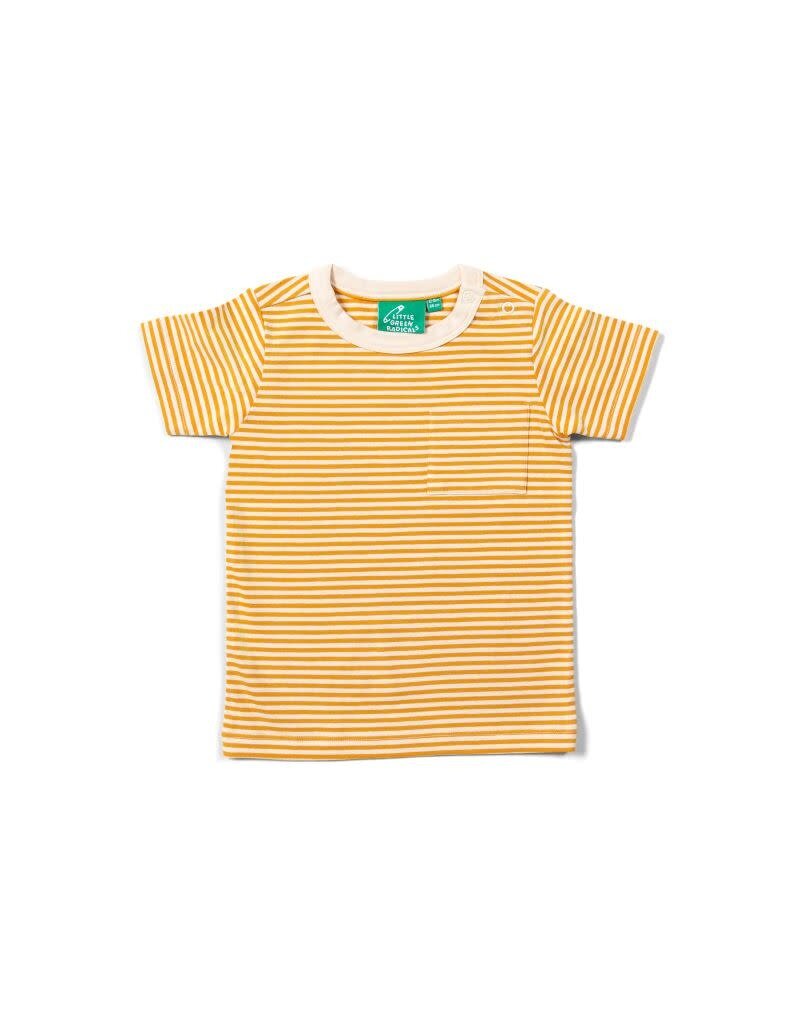 Little Green Radicals Little Green Radicals - Soft Gold Striped ss T-shirt (3-8j)
