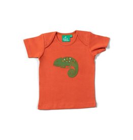 Little Green Radicals T-shirt, Little Lizard Applique (0-2j)