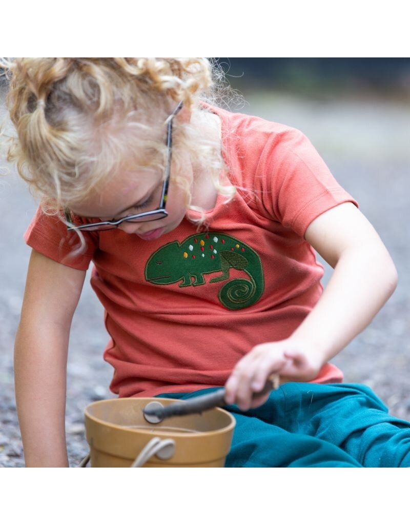 Little Green Radicals Little Green Radicals - Little Lizard Applique SS T-shirt (3-8j)