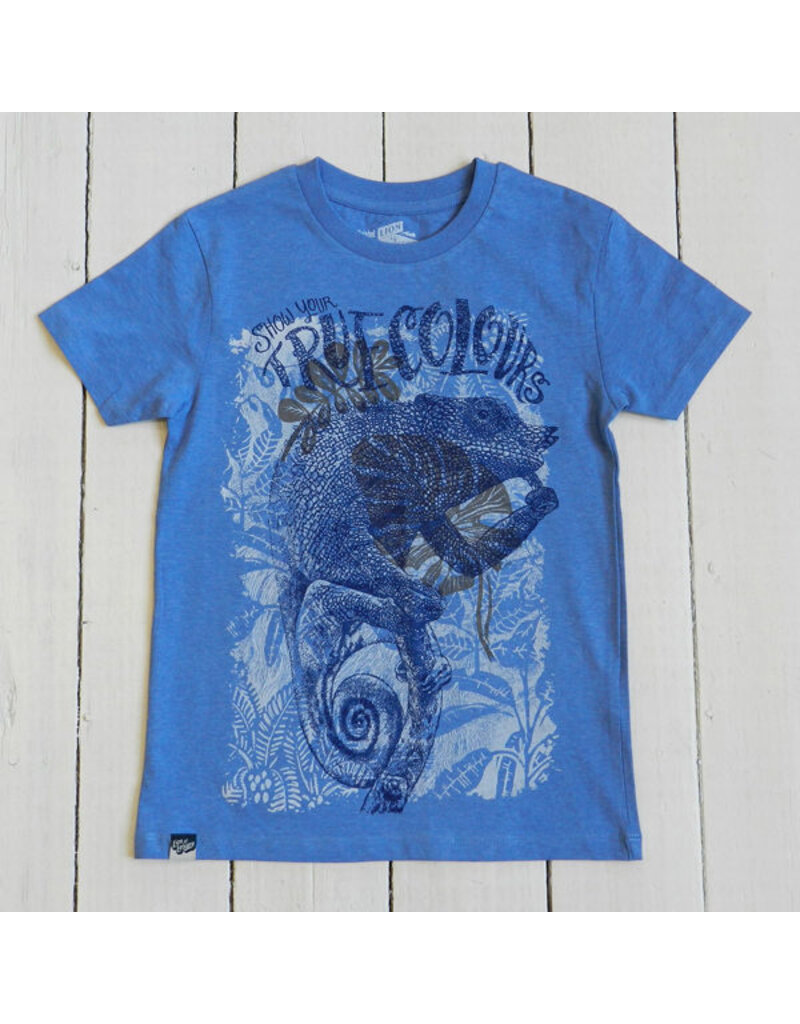 Lion of Leisure Lion of Leisure - T-shirt, blue melange, chameleon (3-16j)