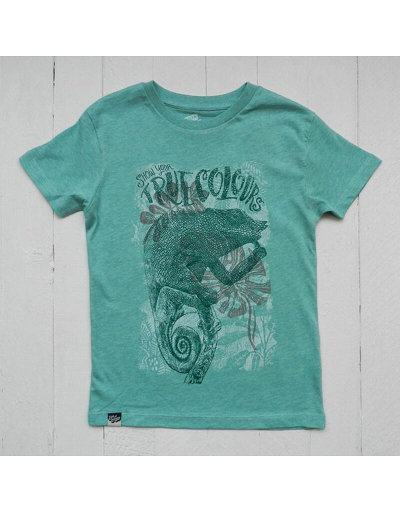 Lion of Leisure Lion of Leisure - T-shirt, green melange, chameleon (3-16j)