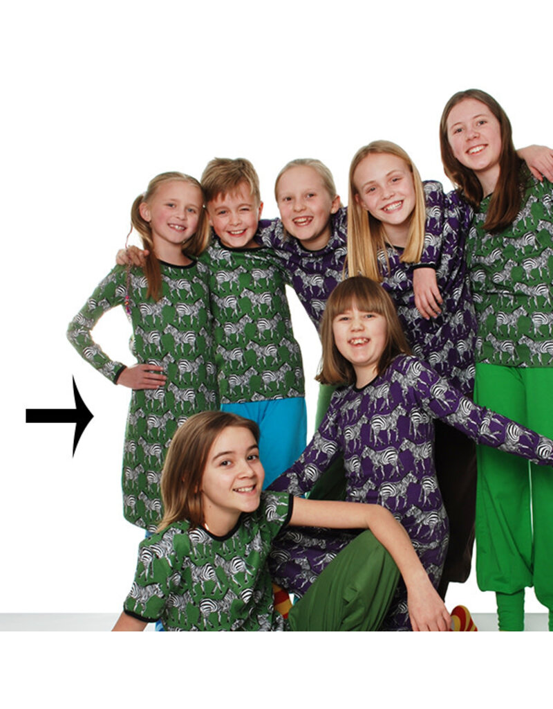 DUNS Sweden Duns Sweden - Long Sleeve Dress, green zebra (3-16j)