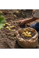 Grapat Grapat - Mandala tulipa/tulip, 36pcs