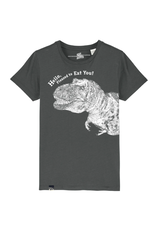 Lion of Leisure Lion of Leisure - T-shirt Dino, Anthracite (3-16j)