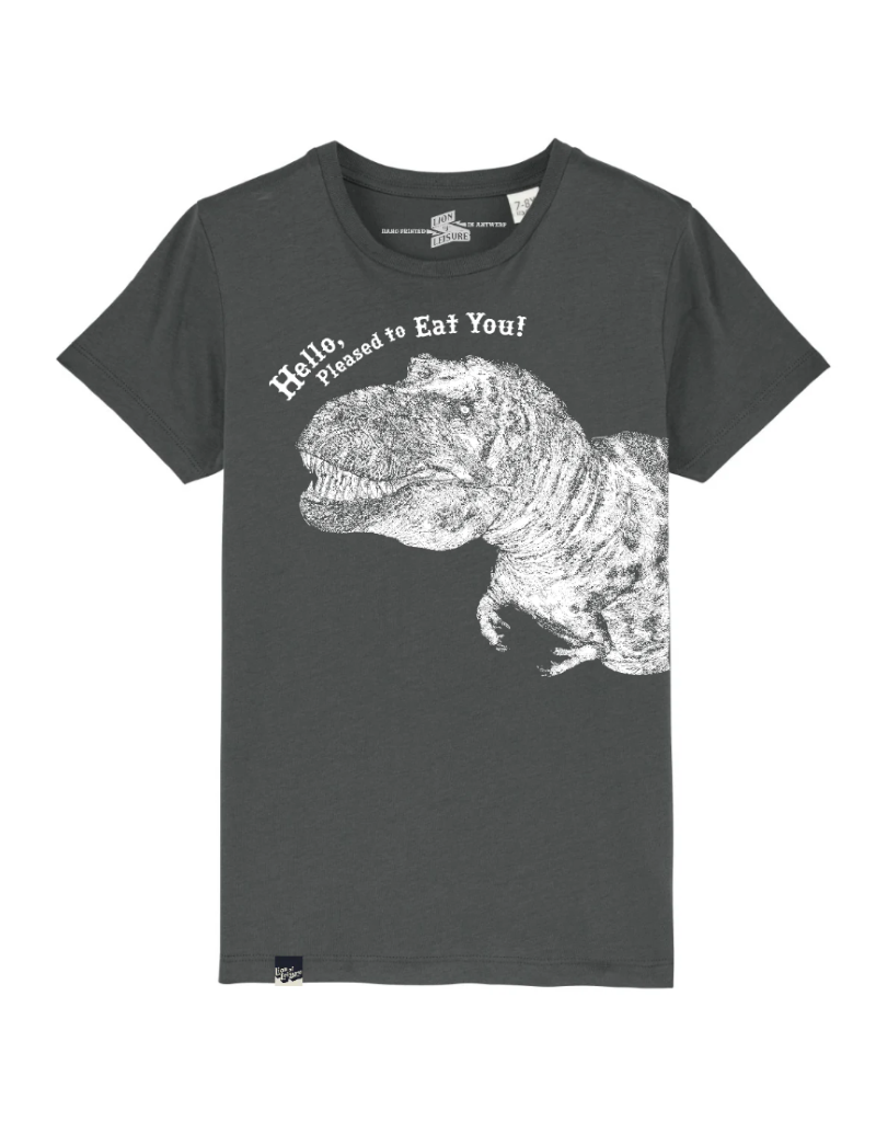 Lion of Leisure Lion of Leisure - T-shirt Dino, Anthracite (3-16j)