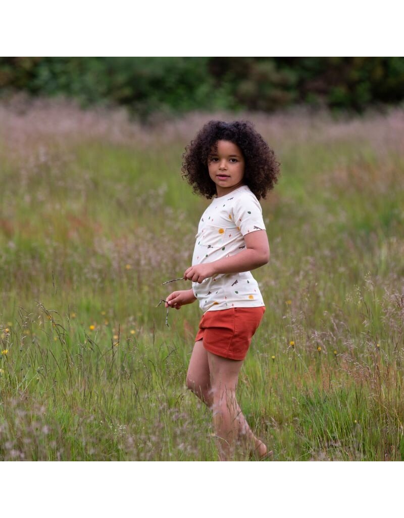 Little Green Radicals Little Green Radicals - Walnut marl comfy jogger shorts (3-8j)