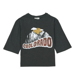 Hundred Coolorado T-Shirt grey