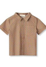 Fliink FLIINK TOTO SS SHIRT - TIGERS EYE DOTS