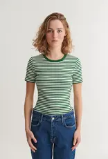 BASIC APPAREL LUDMILLA SS STRIPE GRANDDAD - GREEN/WHITE