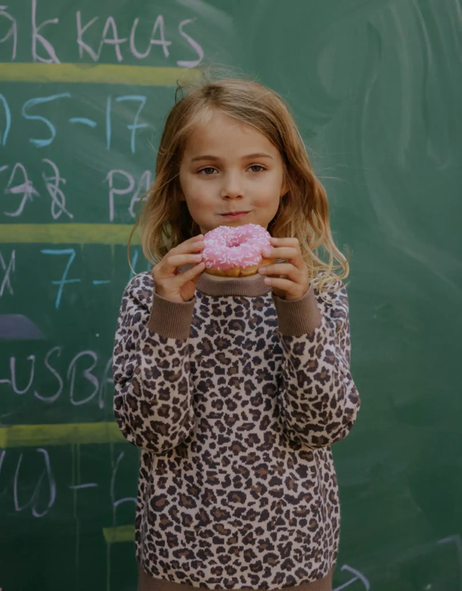 Fliink FLIINK BENNA LEO PULLOVER - PINE BARK