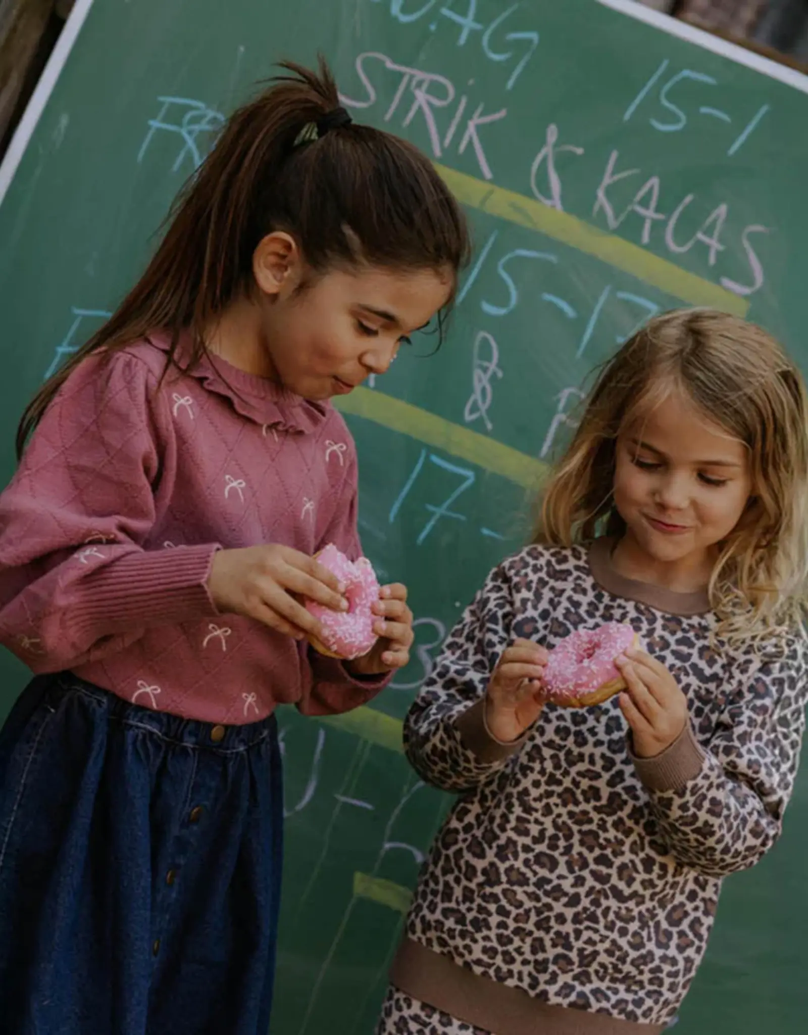 Fliink FLIINK BENNA LEO PULLOVER - PINE BARK