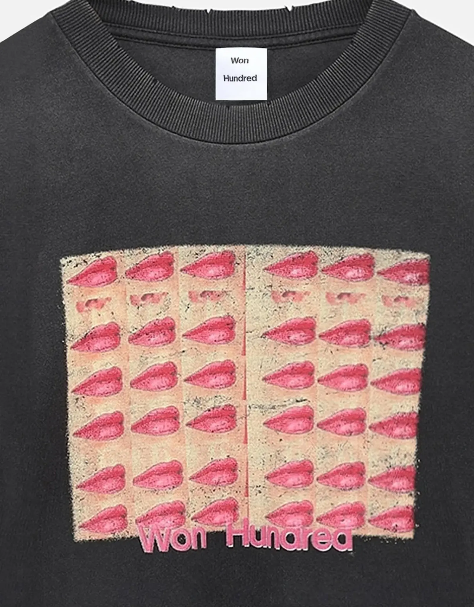 Won Hundred WON HUNDRED TSHIRT HOUSTON KISSES - WASHED BLACK