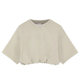 Won Hundred WON HUNDRED TSHIRT - WILLOW GREY