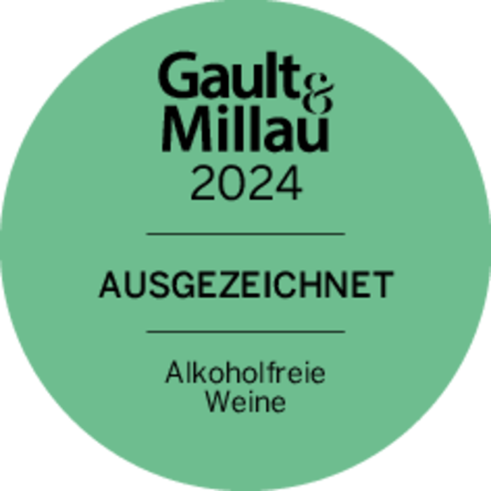 Proefmixdoos Best of 2024 Alcoholvrij - Jörg Geiger (6 flessen)