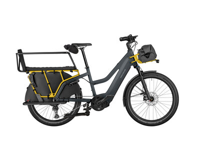 Riese & Müller Multicharger2 Mixte EASY Riese & Müller Multicharger2 Mixte EASY