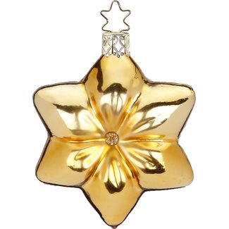 Inge Cushion Star