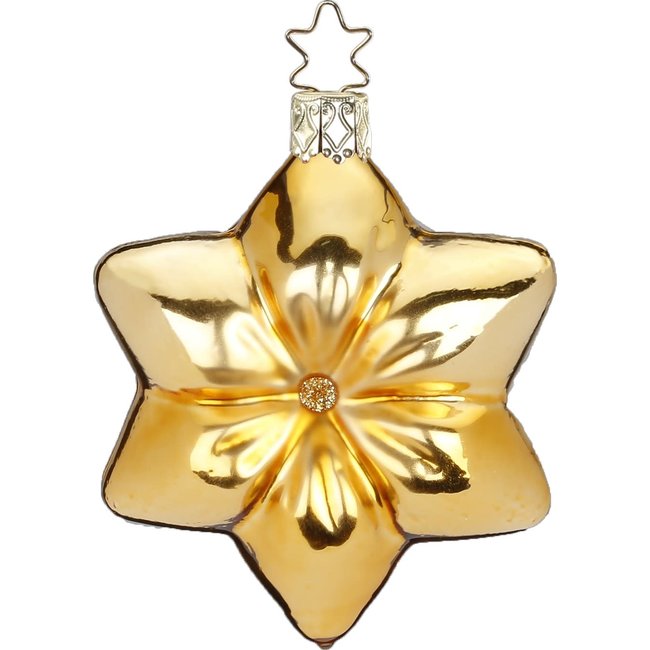 Inge Cushion Star