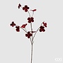 Velvet Cornus Branch (100cm)