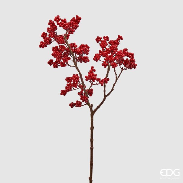 Enzo De Gaspari Ilex Branch (65cm)