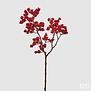 Ilex Branch (65cm)