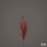 Pampas Red 2 (70cm)