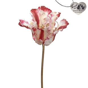 Tulipe perroquet sur tige en rouge / rose / blanc (40cm)