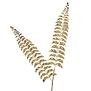 Metallic Double Fern Leaf on Stem in Gold (73,5cm)